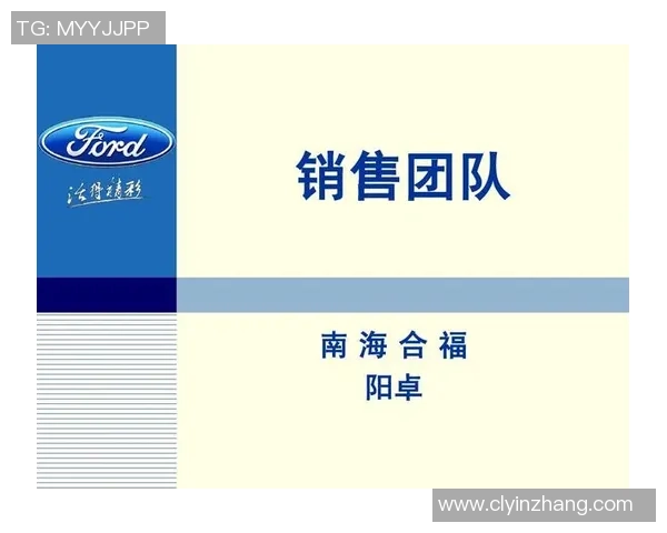 南京羽毛球队在世界锦标赛中的团队协作表现分析与点评