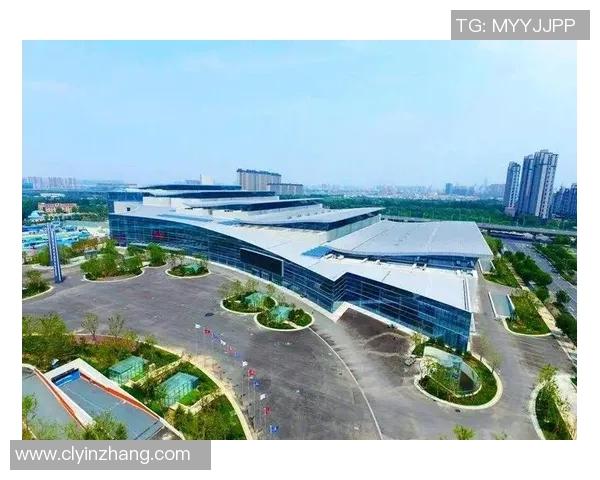 汉族足球明星的崛起与成就全景解析及排名榜单展示