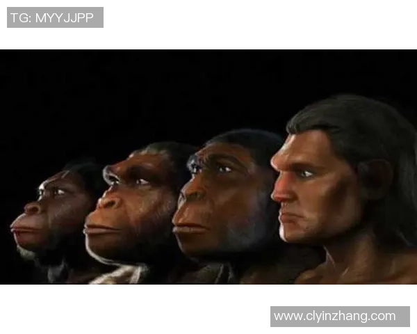 猿人足球明星的传奇之路与人类运动的进化探索 猿人足球明星的传奇之路与人类运动的进化探索