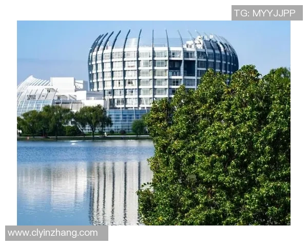 南京羽毛球队的崛起之路：亚运会背后的奋斗与荣耀