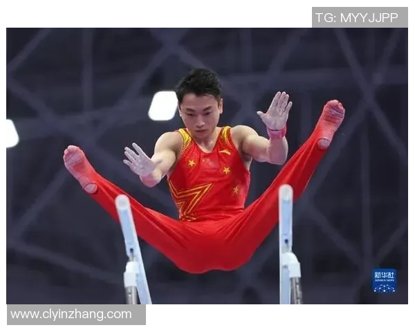 杭州排球队攻势变革揭秘打造全新进攻体系提升竞技水平 杭州排球队攻势变革揭秘打造全新进攻体系提升竞技水平